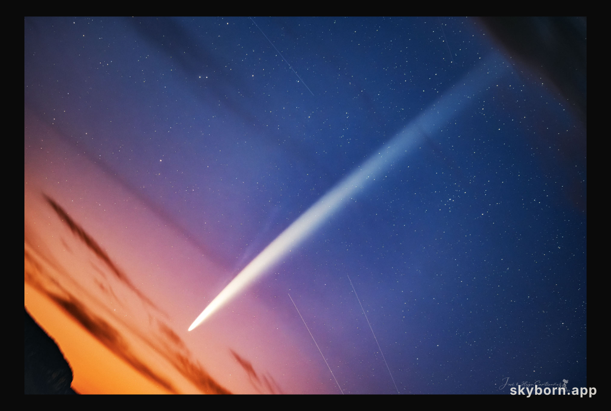 The Long Tails Comet Tsuchinshan-ATLAS