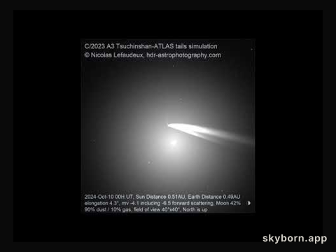 Animation: Comet Tsuchinshan-ATLAS Tails Prediction