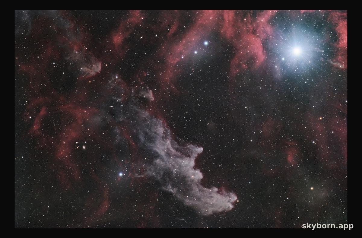 Rigel and the Witch Head Nebula