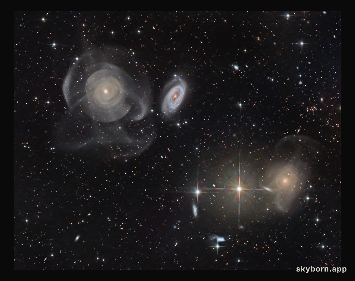 Shell Galaxies in Pisces