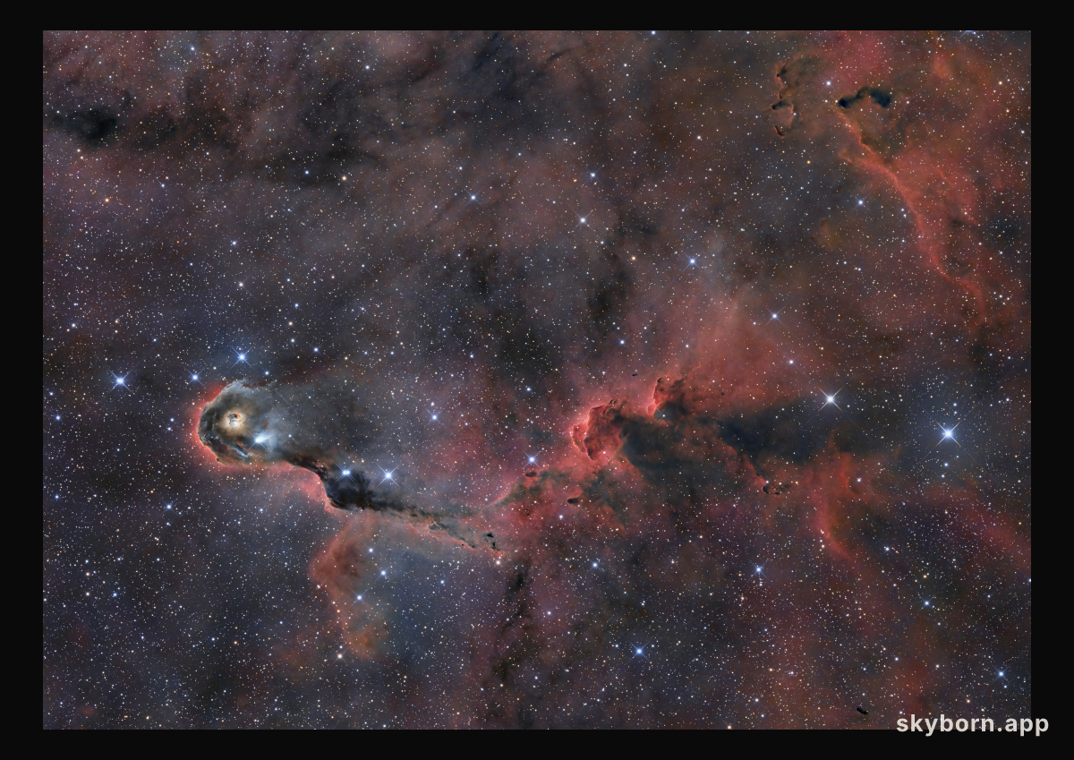 The Elephant's Trunk in Cepheus