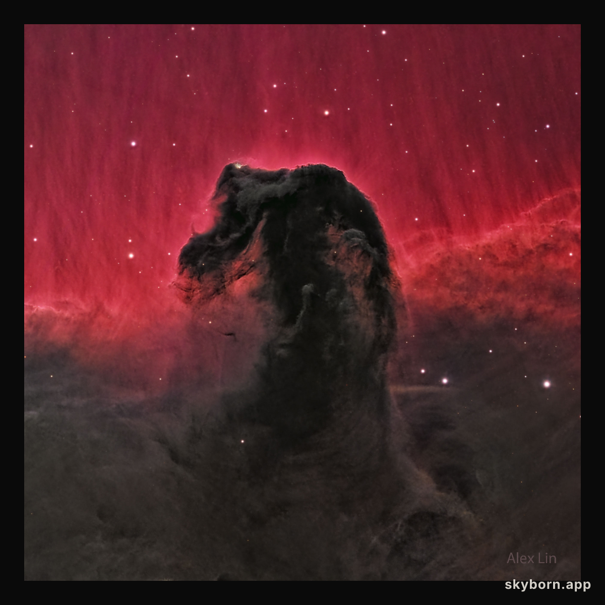 The Horsehead Nebula