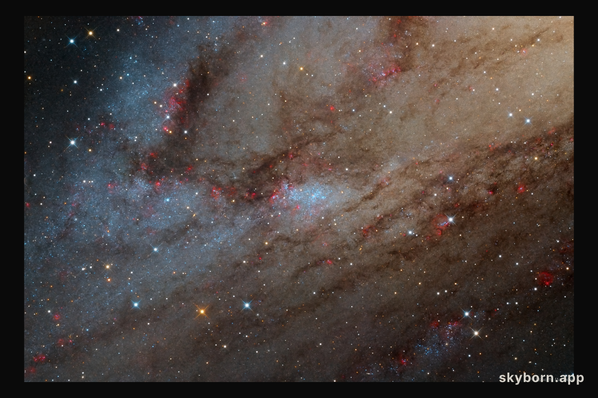 NGC 206 and the Star Clouds of Andromeda