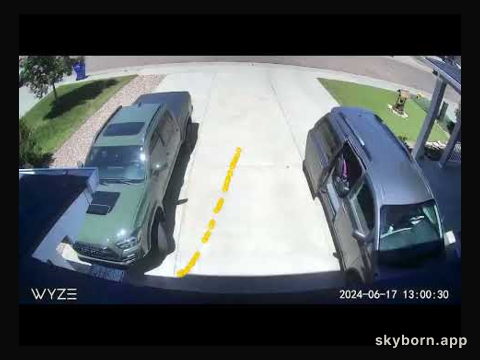 Driveway Analemma