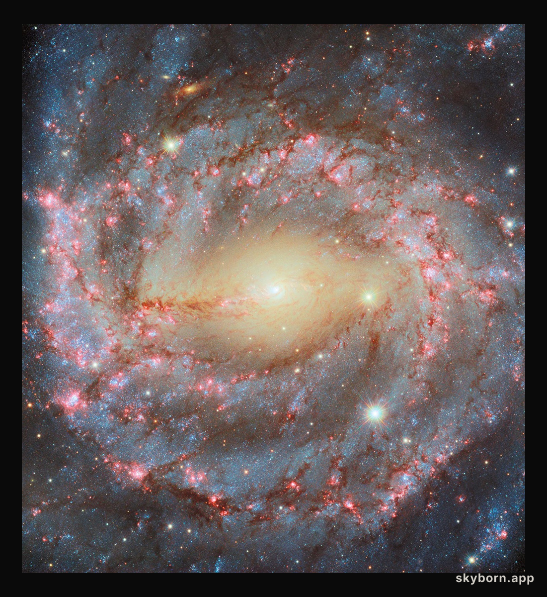 Grand Spiral NGC 5643