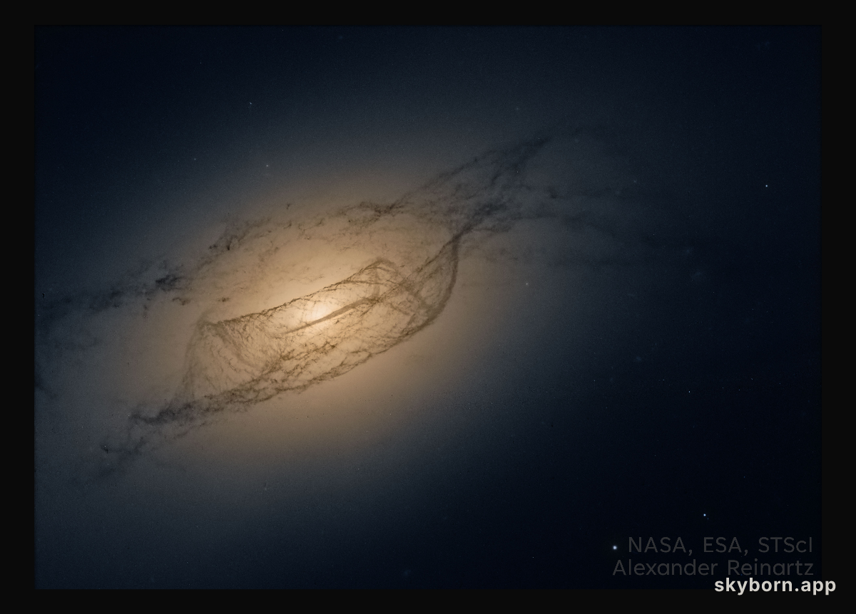 The Twisted Disk of NGC 4753