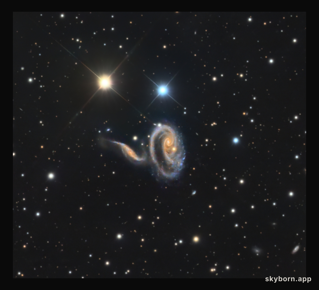 Peculiar Galaxies of Arp 273