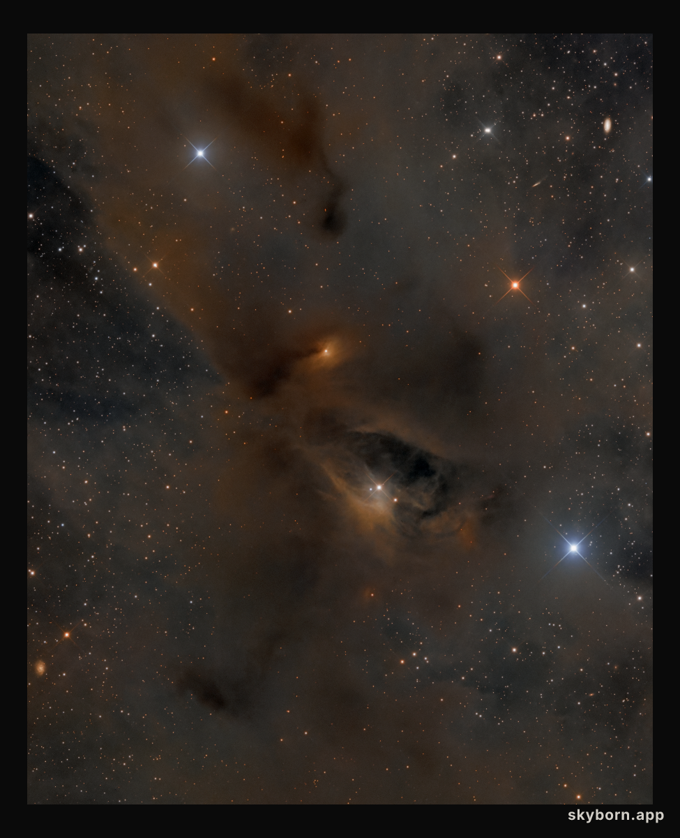Young Stars, Dark Nebulae