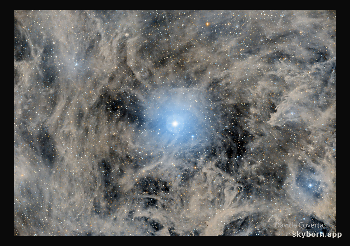 North Star: Polaris and Surrounding Dust