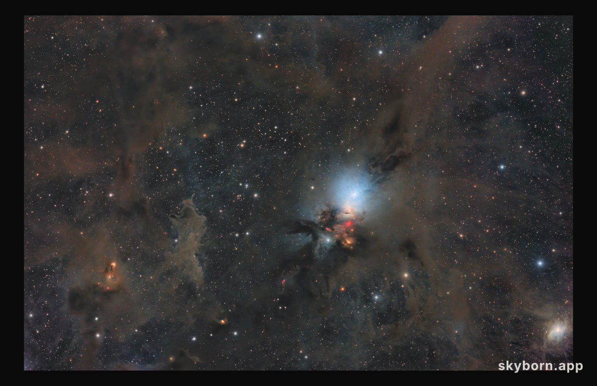 Stardust in the Perseus Molecular Cloud