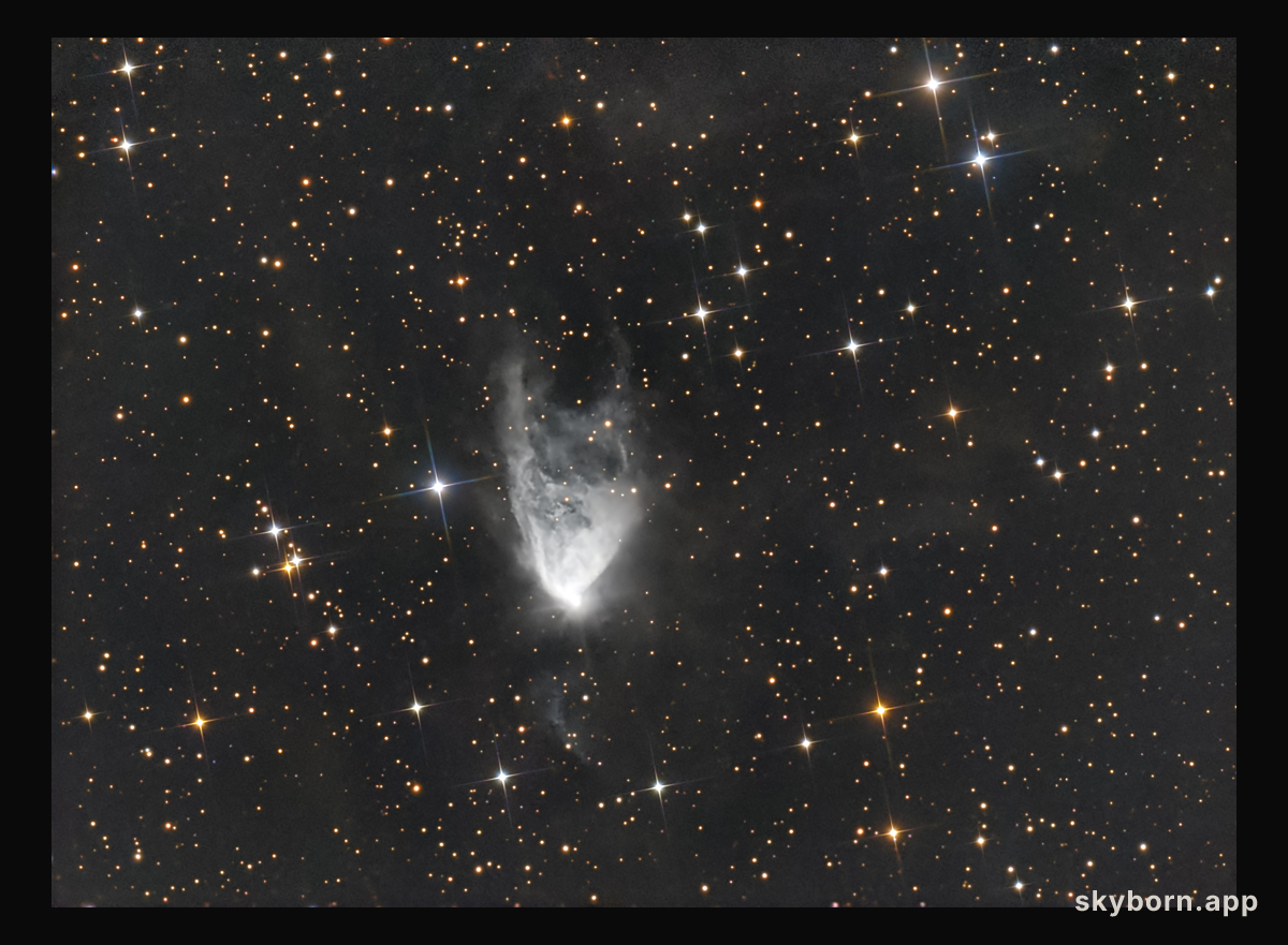 The Variable Nebula NGC 2261