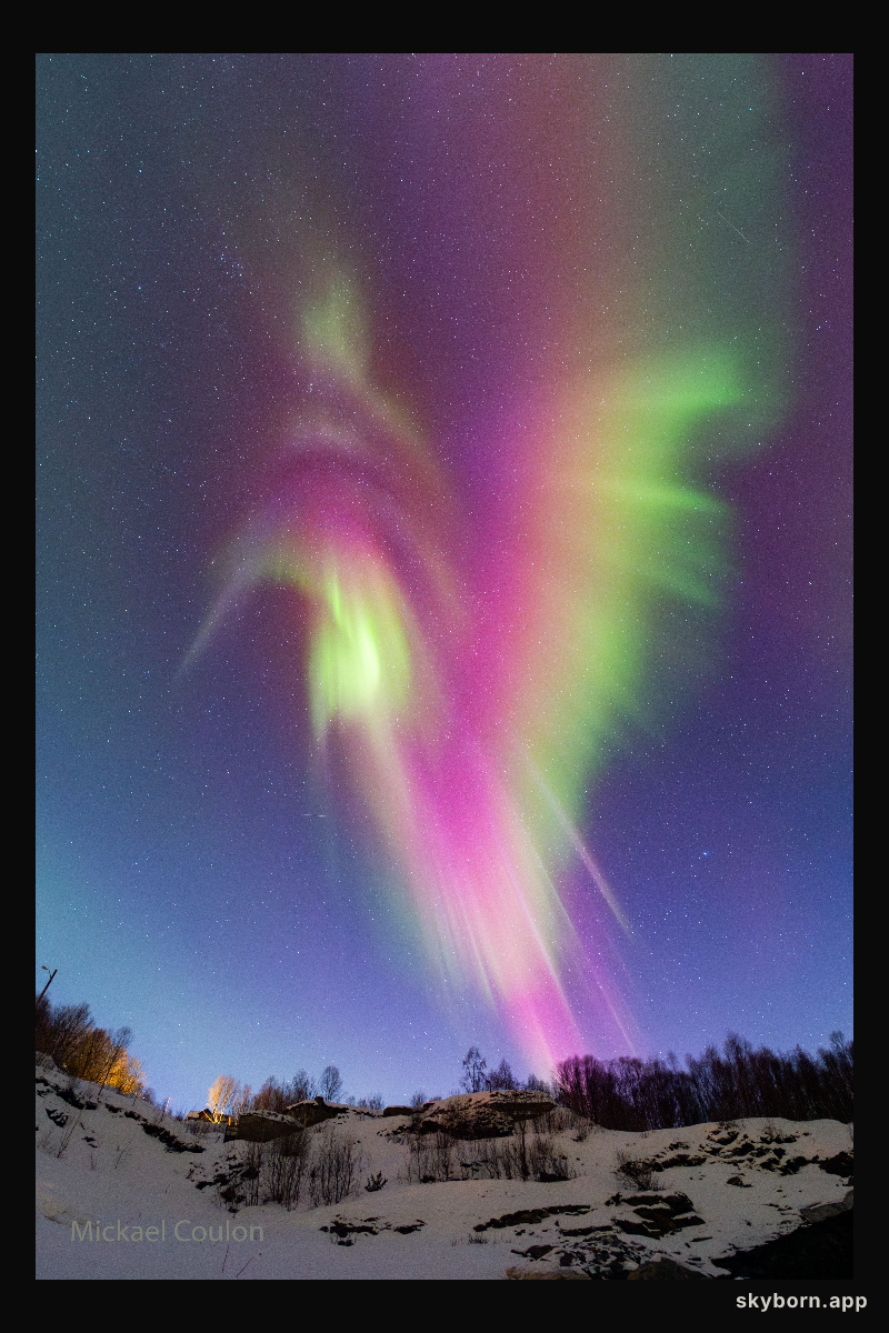 Auroral Hummingbird over Norway