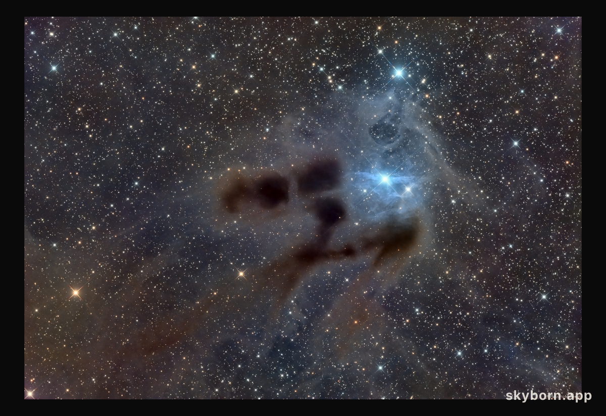 Reflections on VdB 31