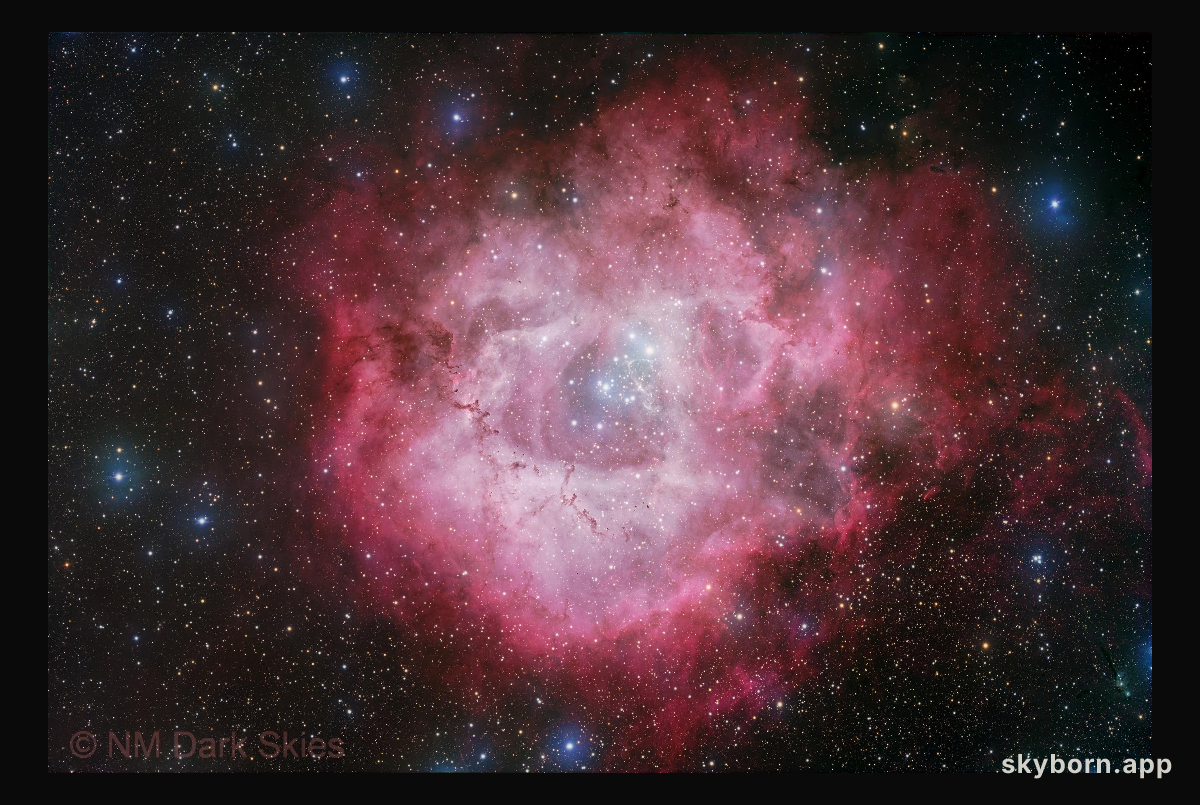 A Cosmic Rose: NGC 2237 in Monoceros