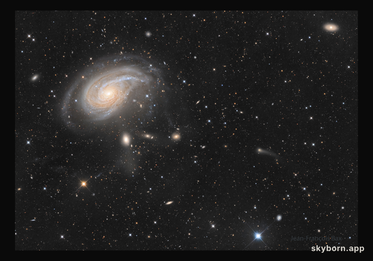 NGC 772: The Fiddlehead Galaxy