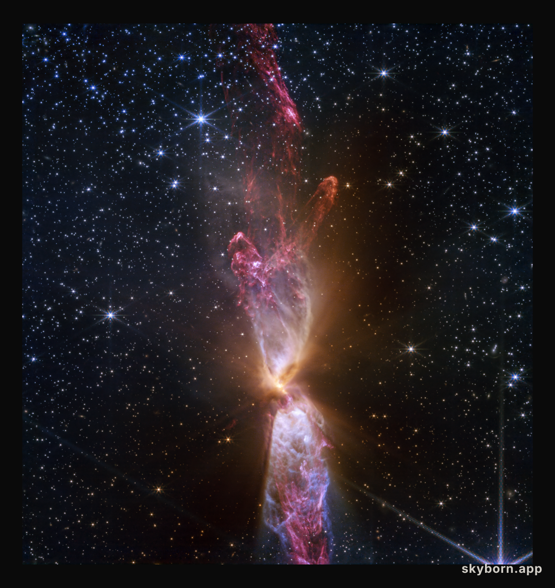 The Protostars within Lynds 483