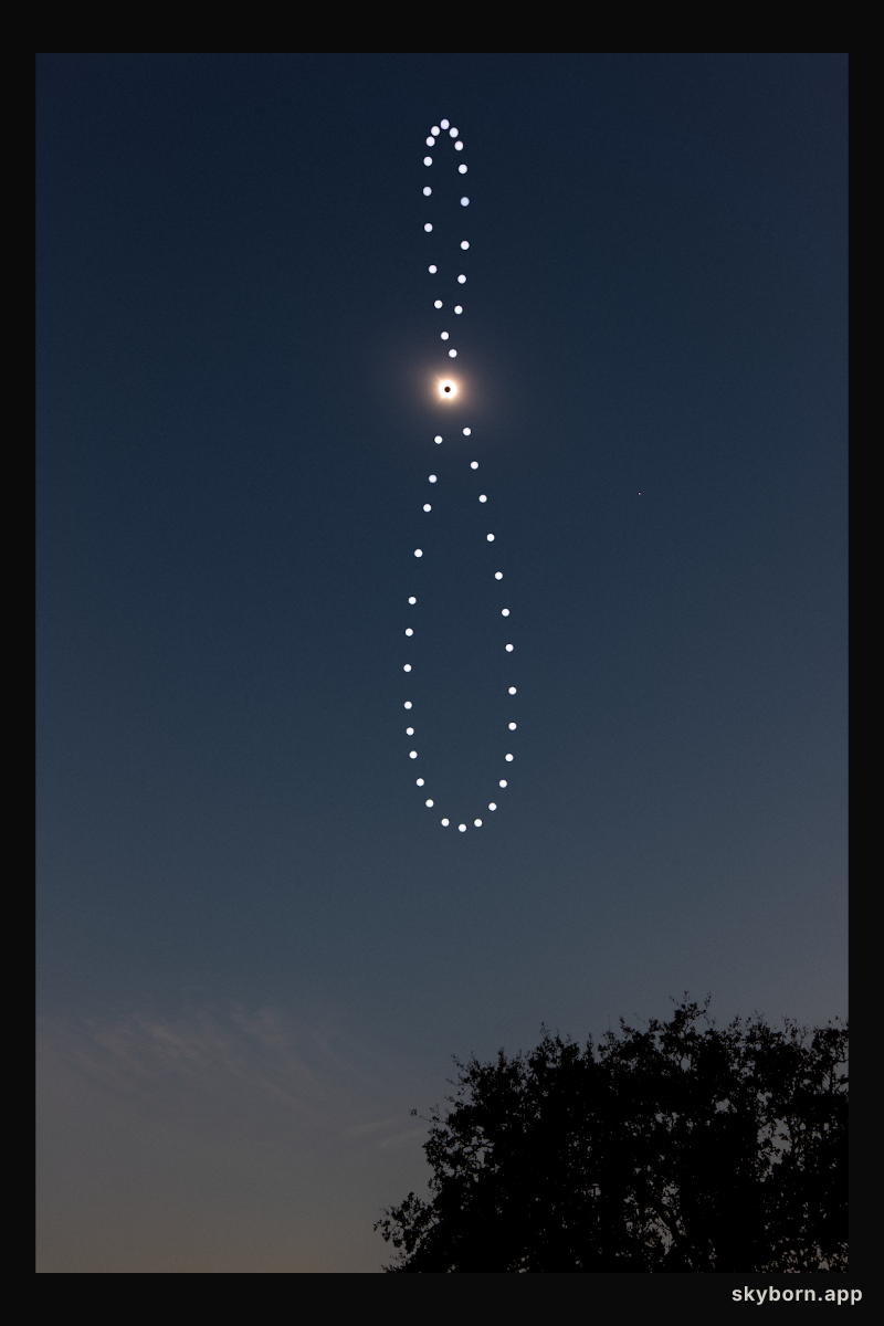 The Solar Eclipse Analemma Project