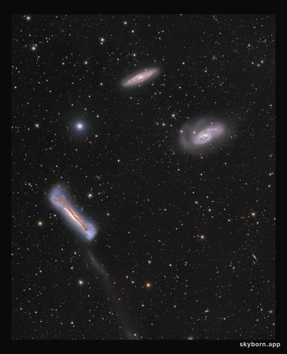 The Leo Trio
