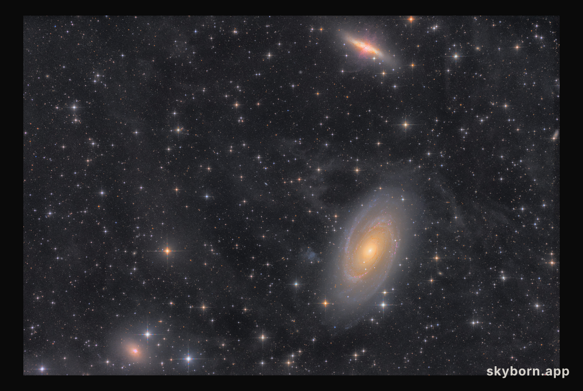 38 Hours with the M81 Group