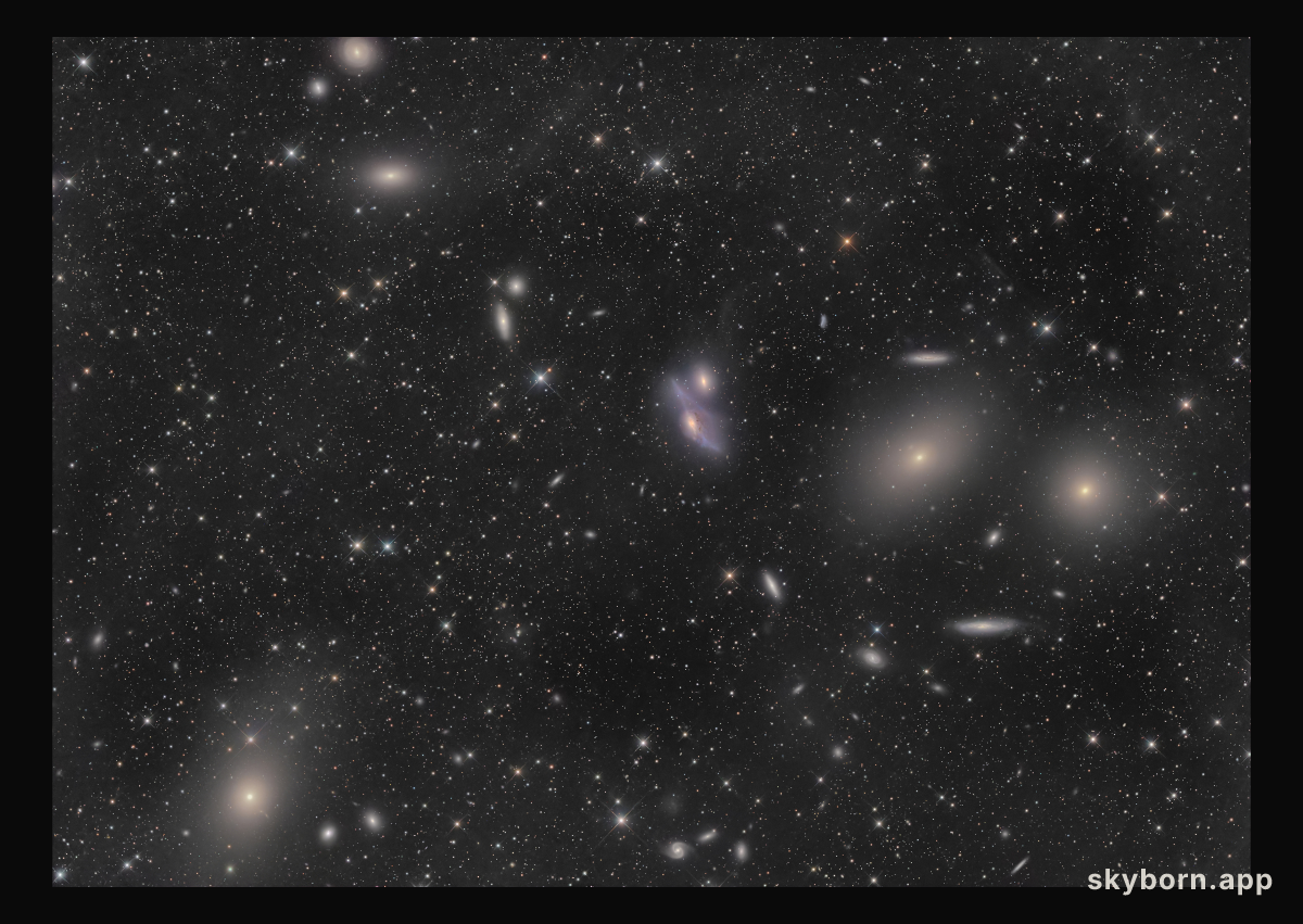 Virgo Cluster Galaxies