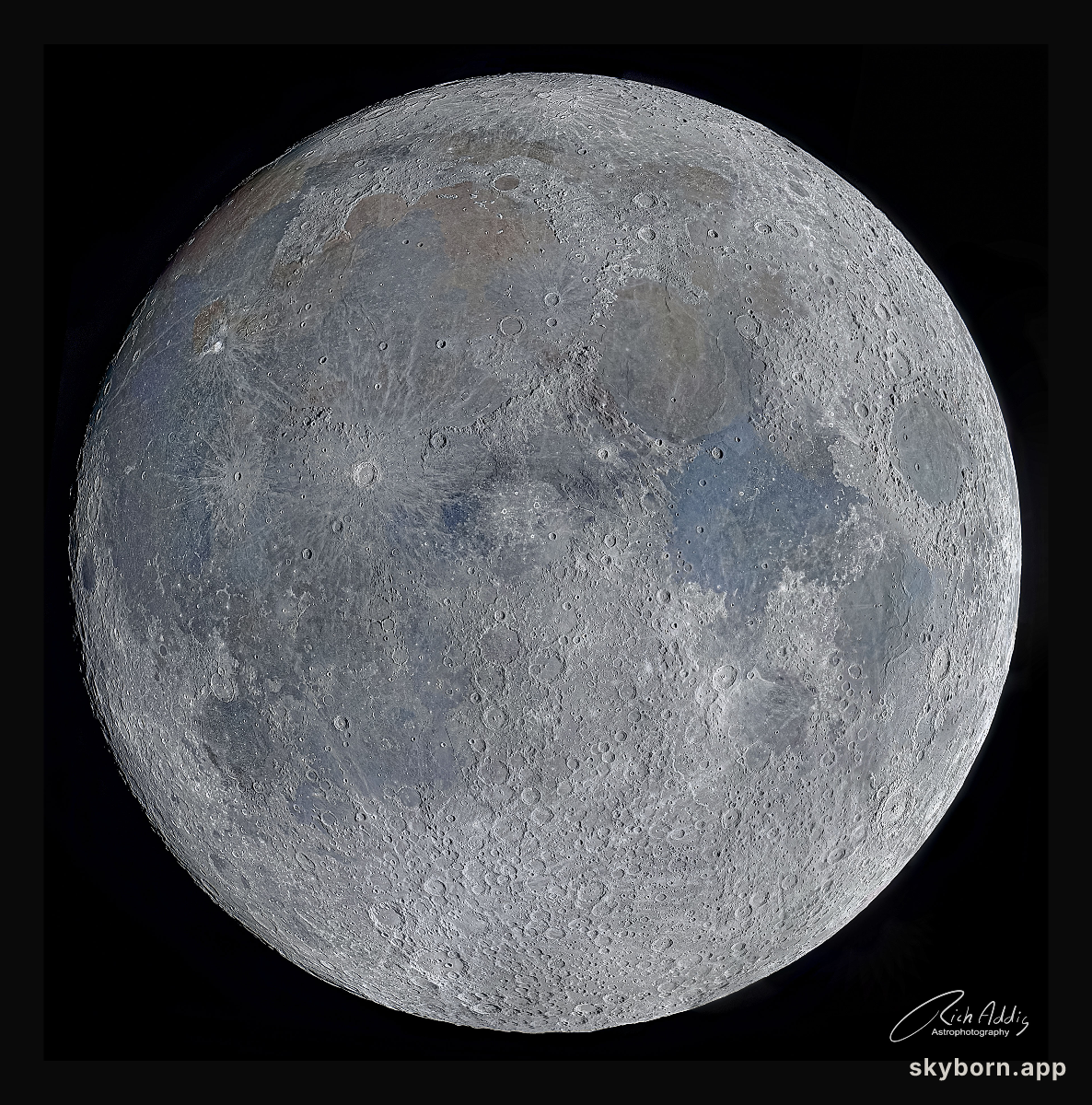 Terminator Moon: A Moonscape of Shadows