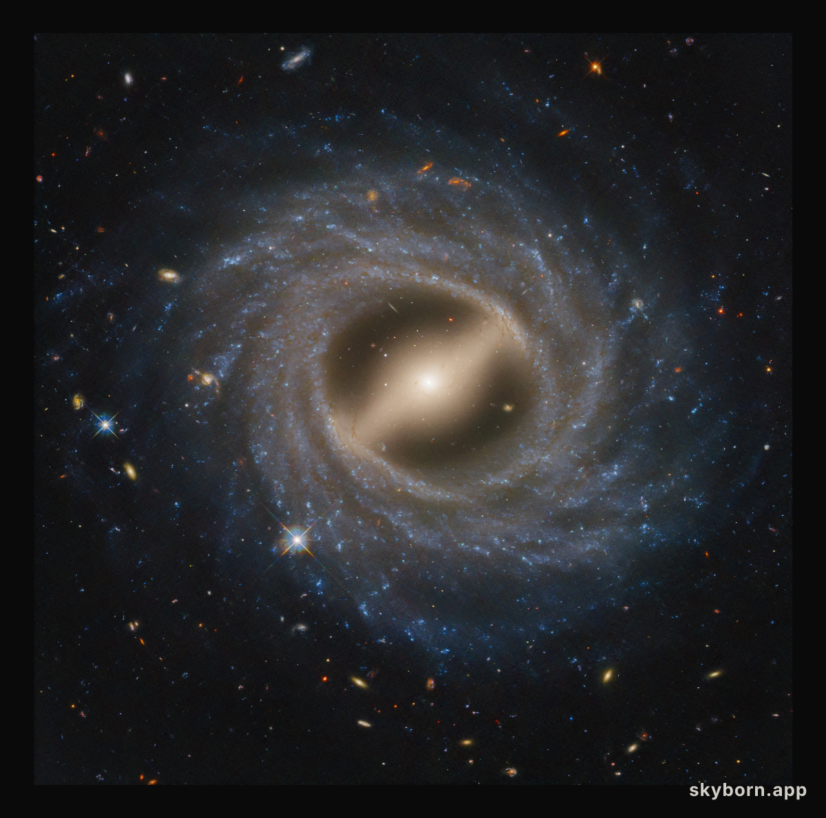 Barred Spiral Galaxy NGC 5335
