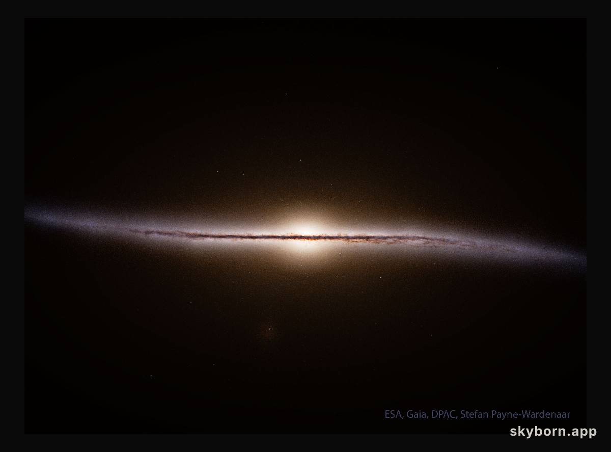 Gaia Reconstructs a Side View of our Galaxy