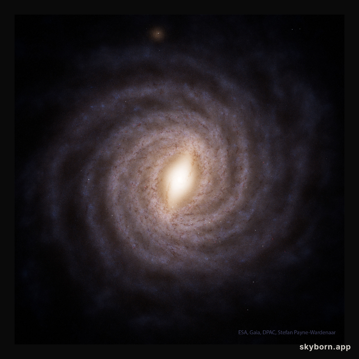 Gaia Reconstructs a Top View of our Galaxy