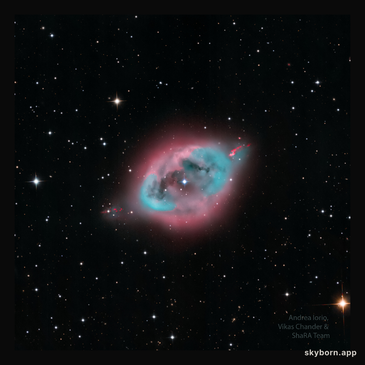 NGC 1360: The Robin's Egg Nebula