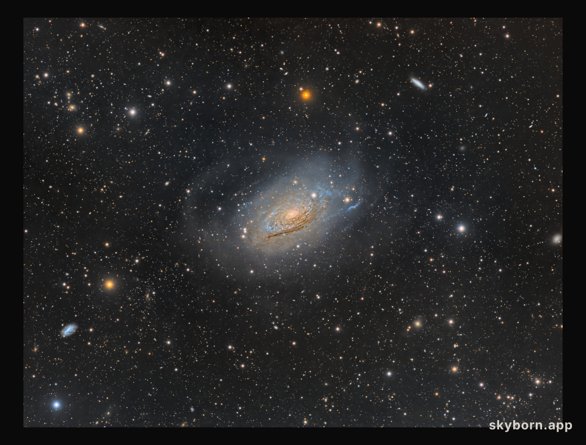 Curly Spiral Galaxy M63