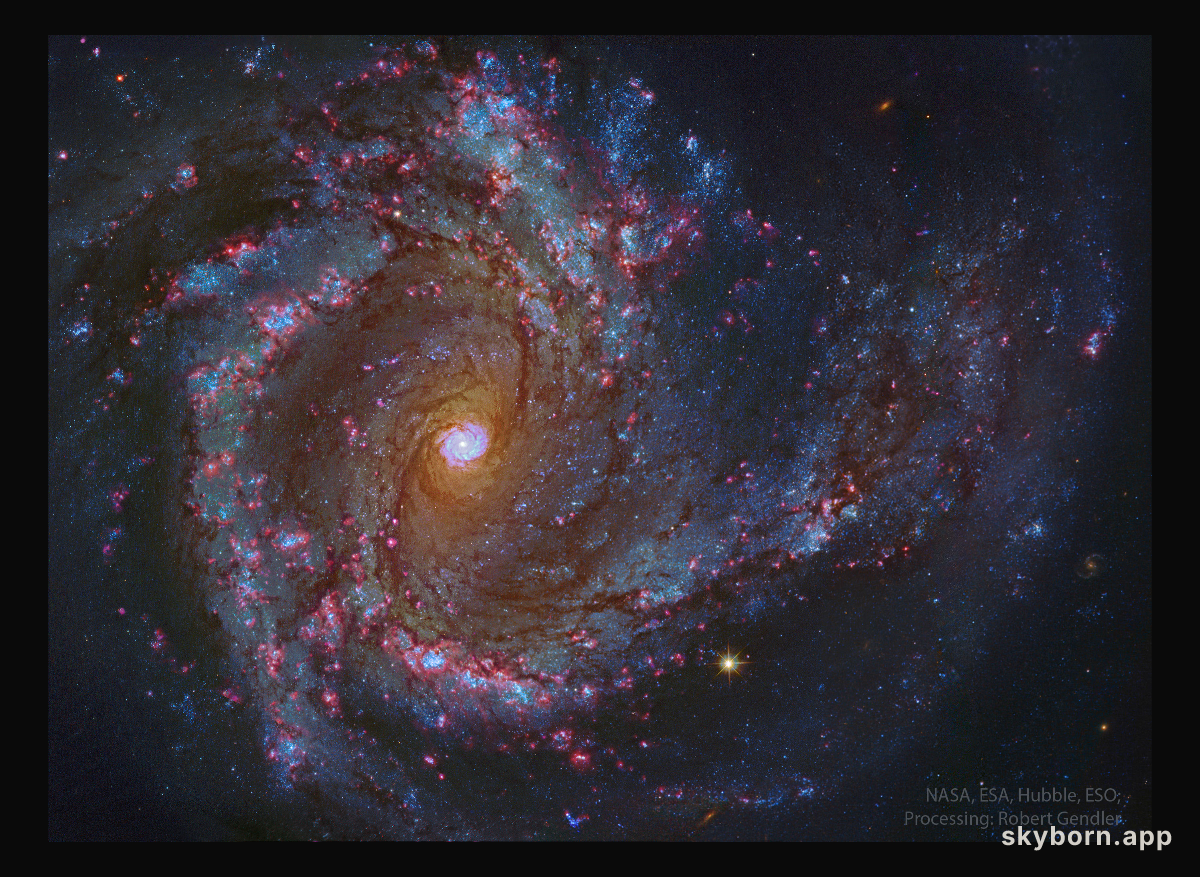 In the Center of Spiral Galaxy M61