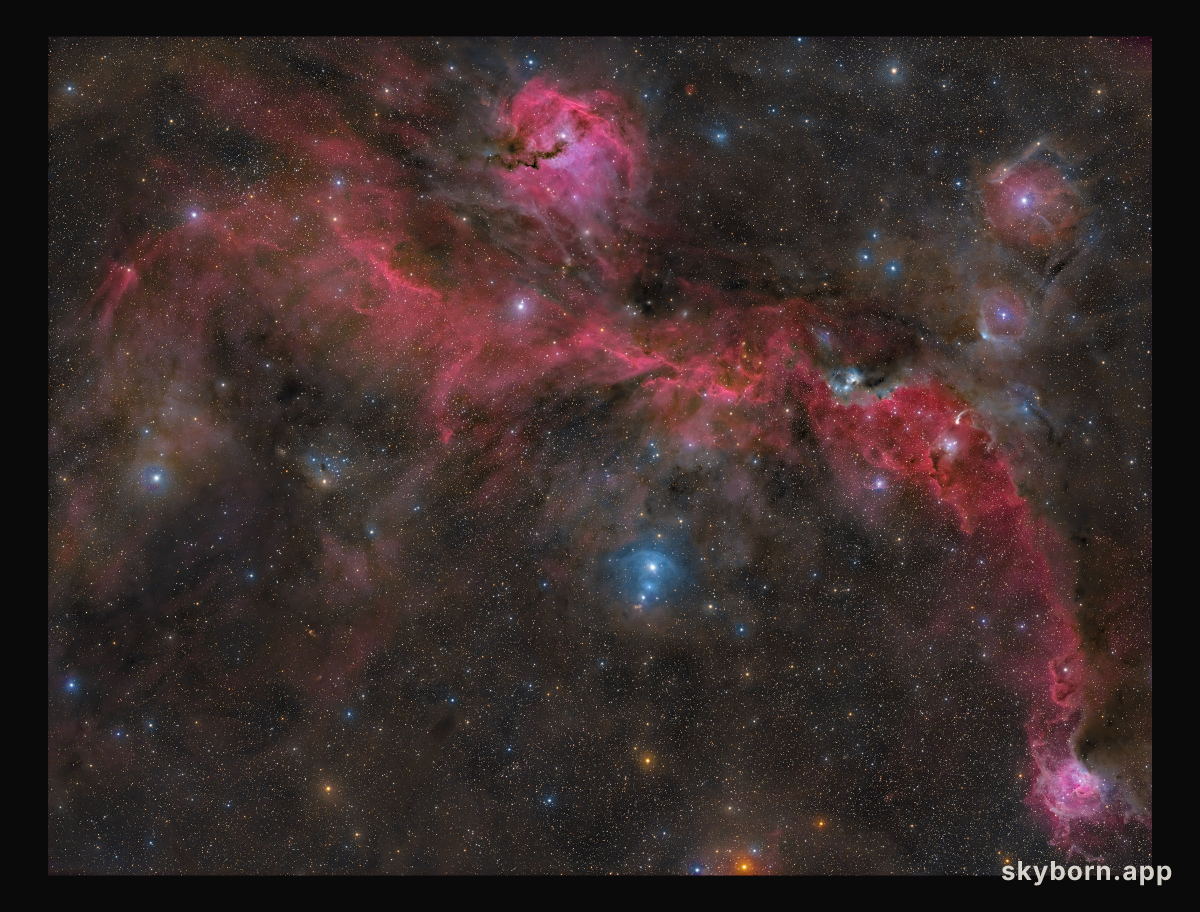 The Seagull Nebula