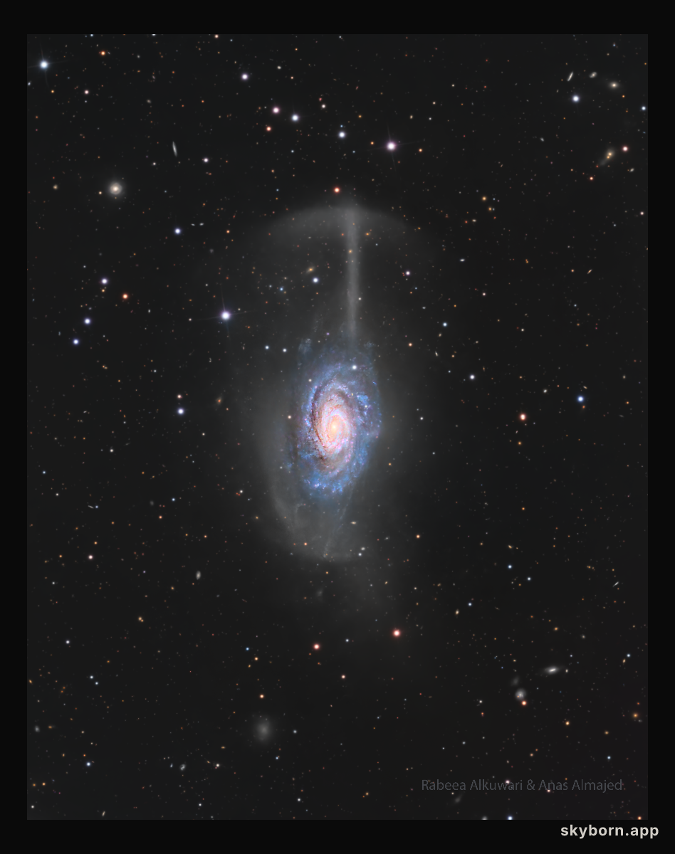 NGC 4651: The Umbrella Galaxy