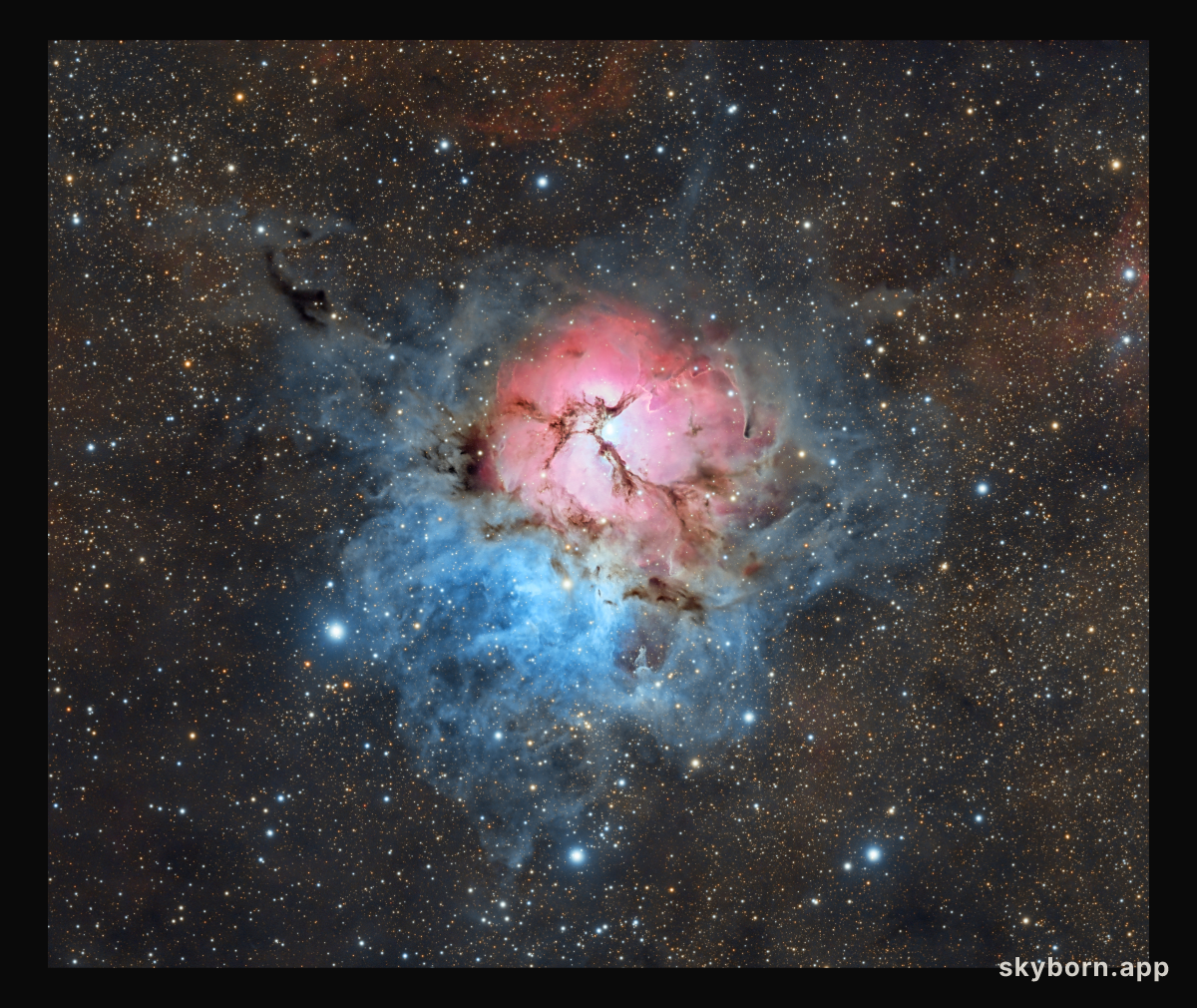 A Beautiful Trifid