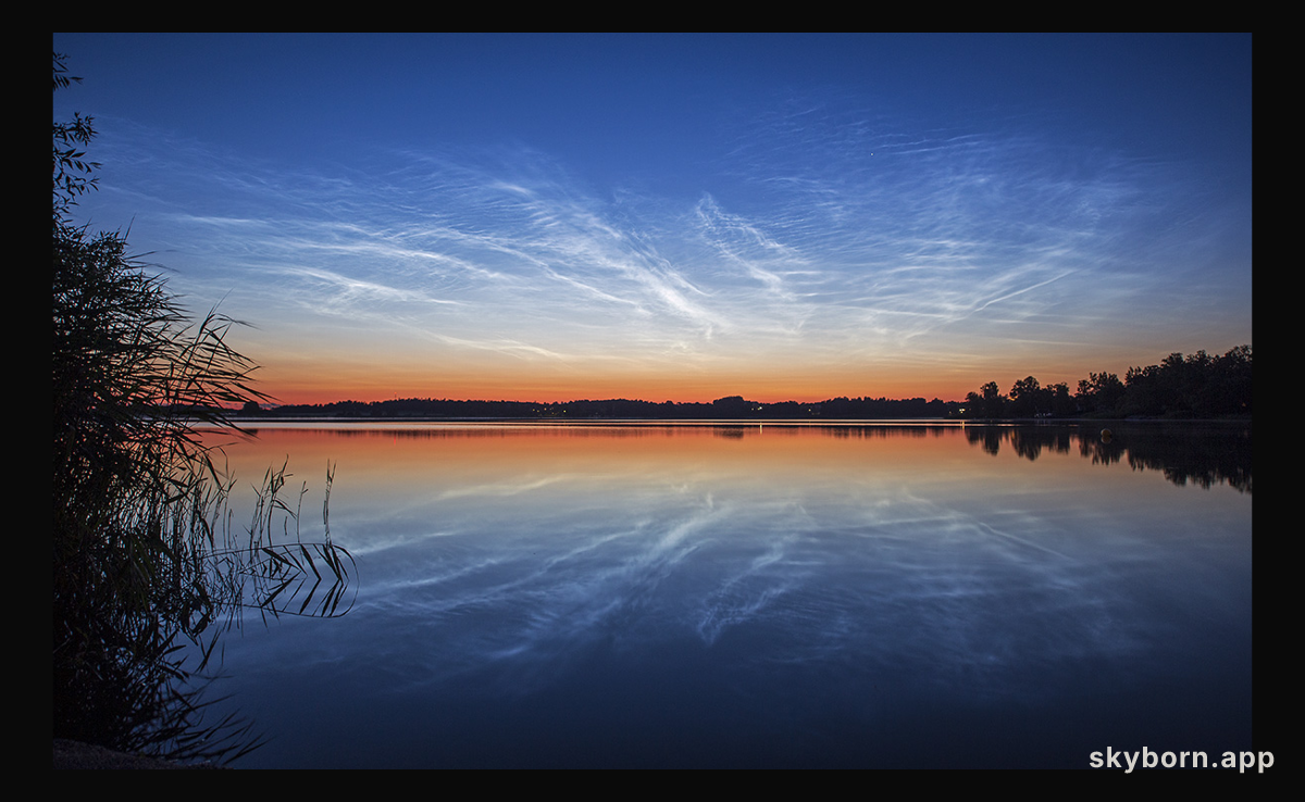 The Veins of Heaven