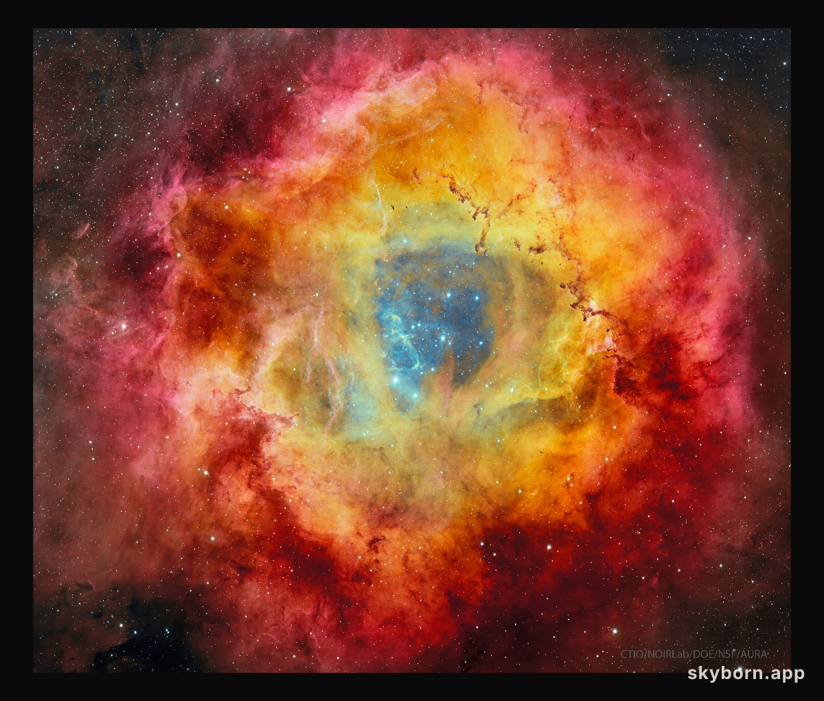 The Rosette Nebula from DECam