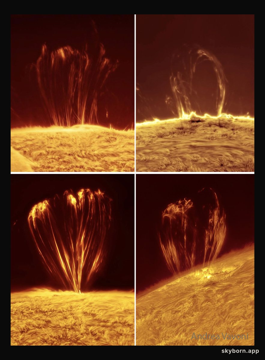 Coronal Loops on the Sun