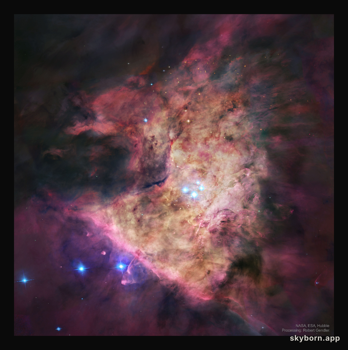 Trapezium: In the Heart of Orion