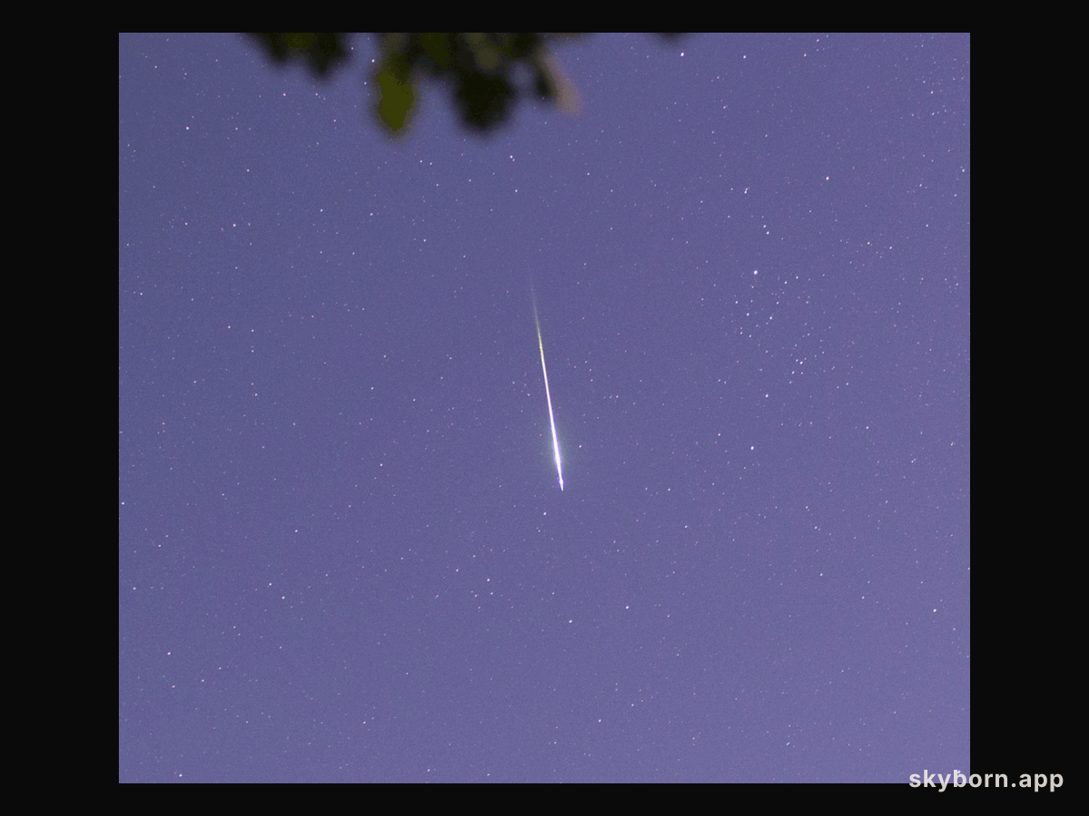 A Cool GIF of a 2025 Perseid
