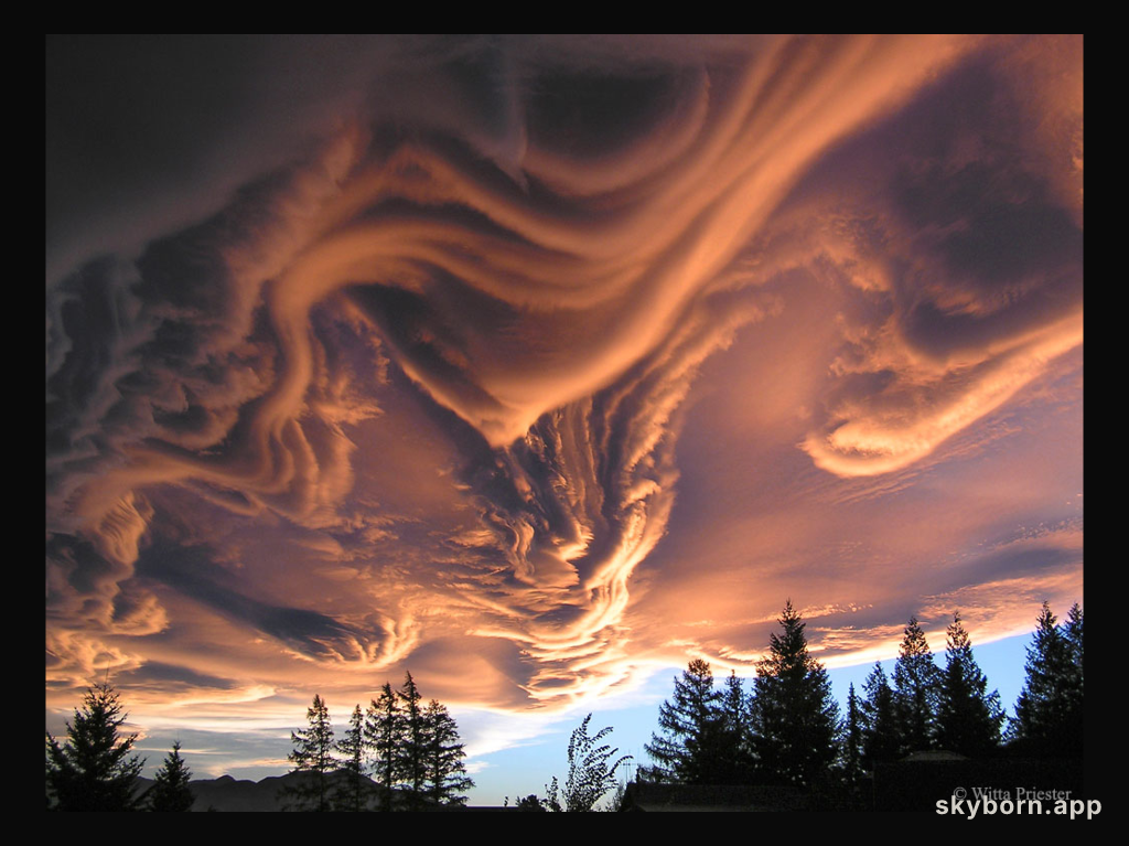 Asperitas Clouds Over New Zealand