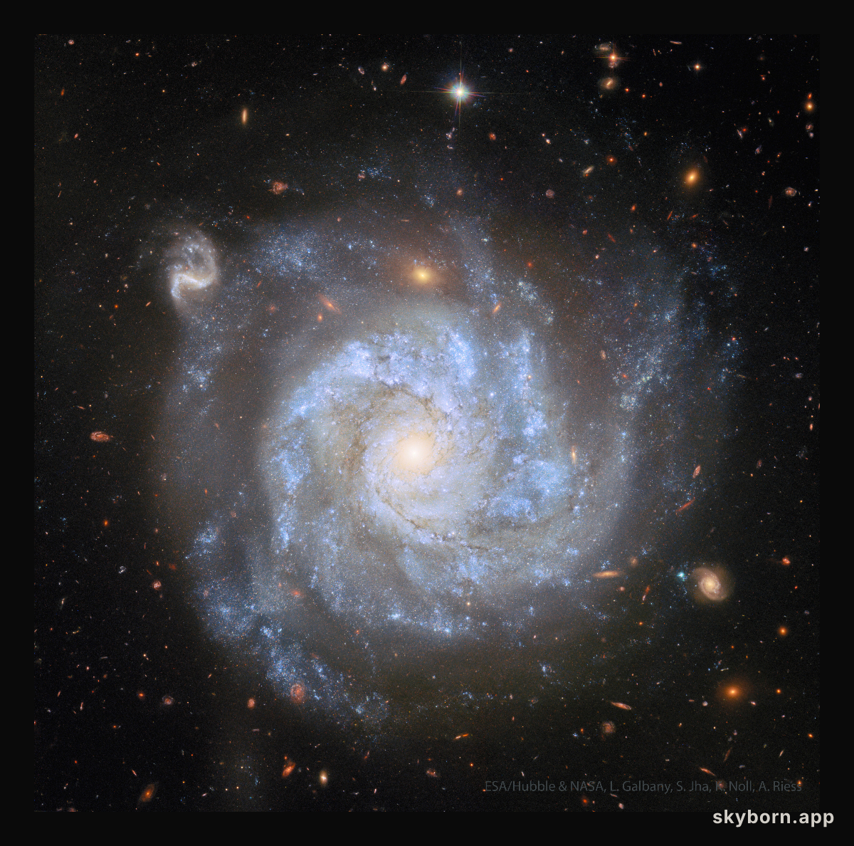 NGC 1309: A Useful Spiral Galaxy