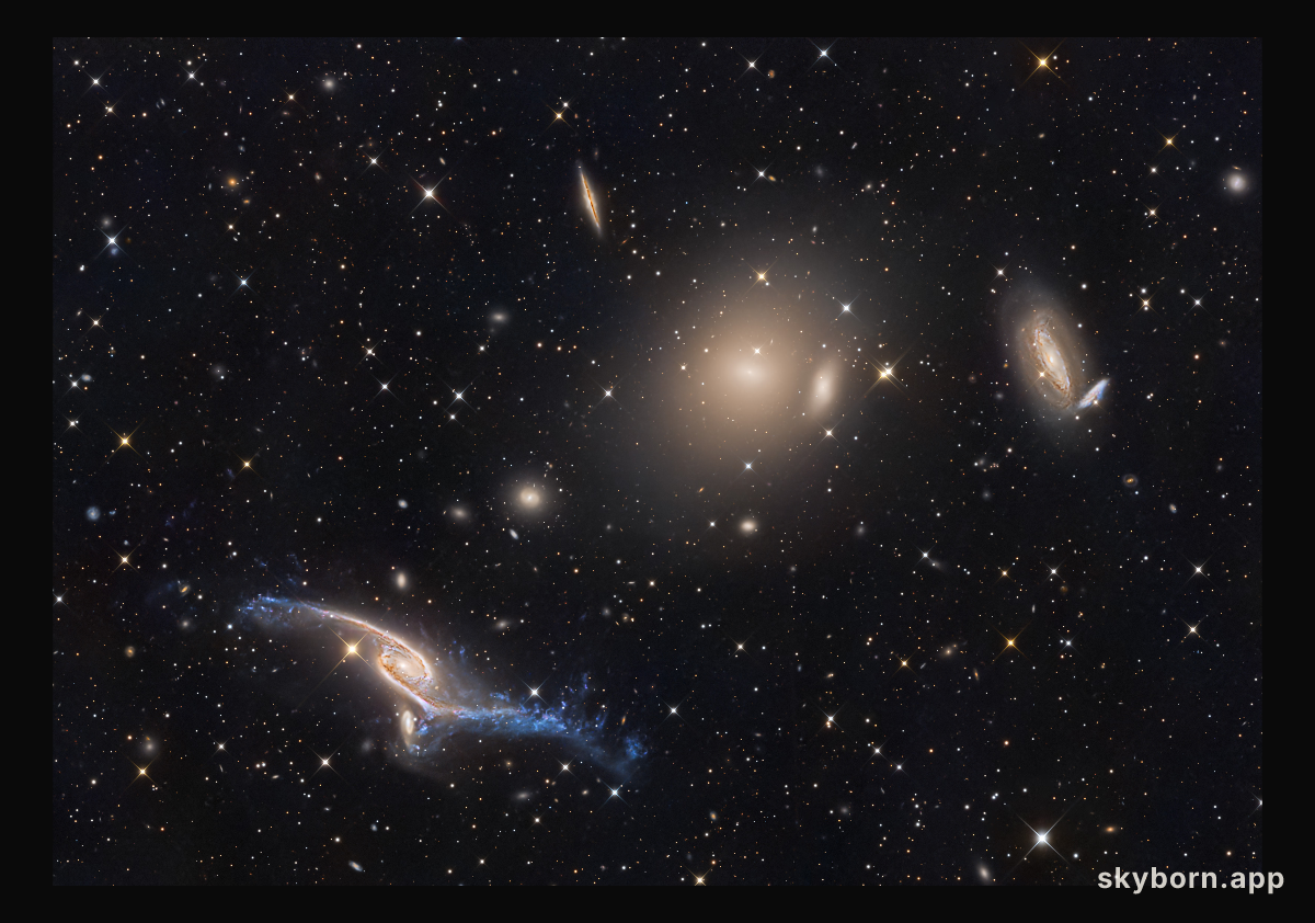 Giant Galaxies in Pavo
