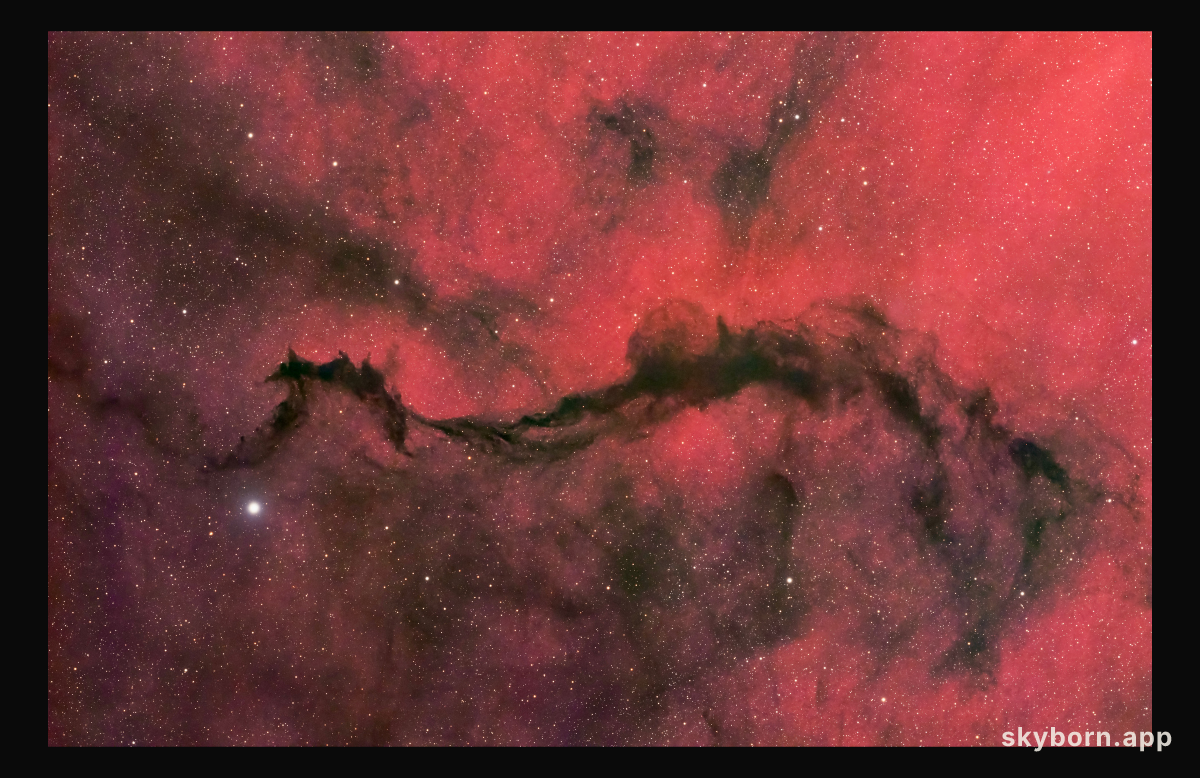 A Dark Veil in Ophiuchus