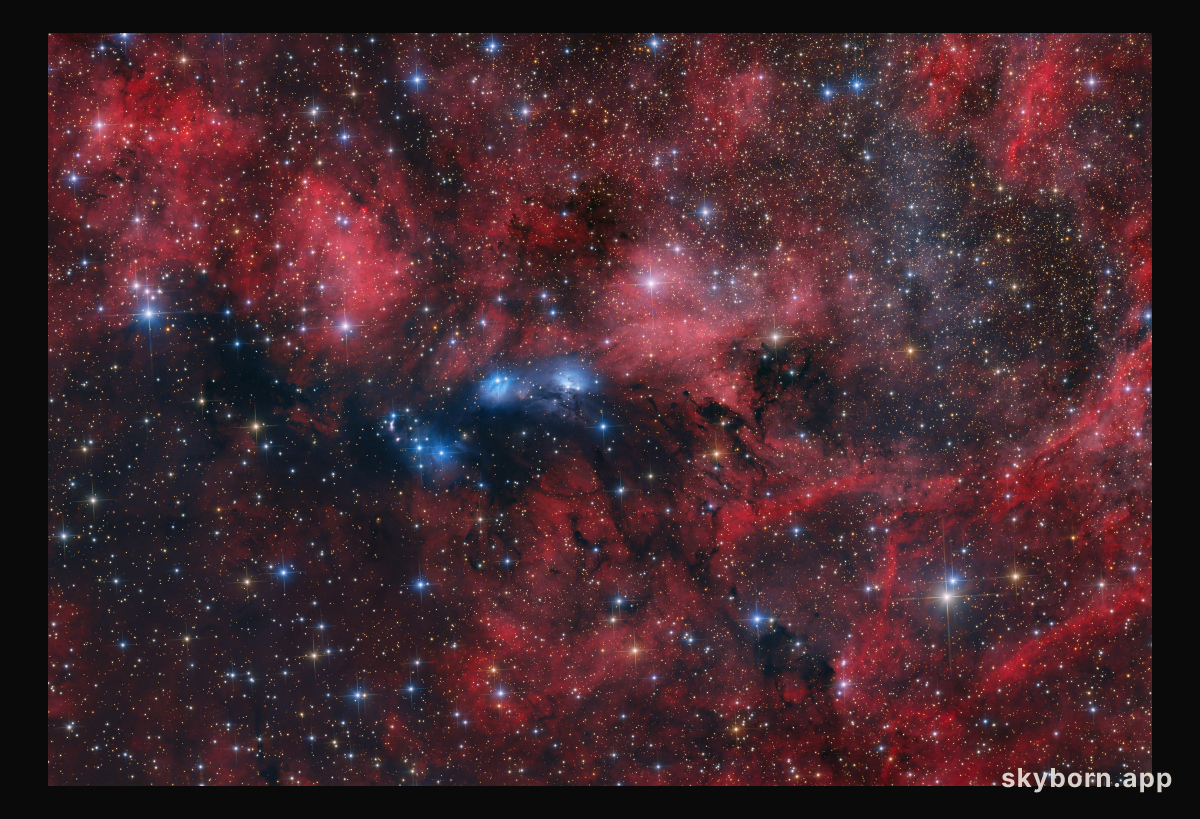 The NGC 6914 Complex