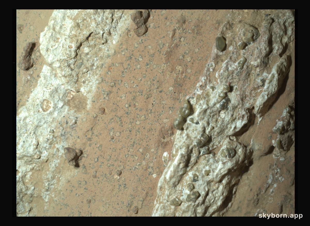 Leopard Spots on Martian Rocks