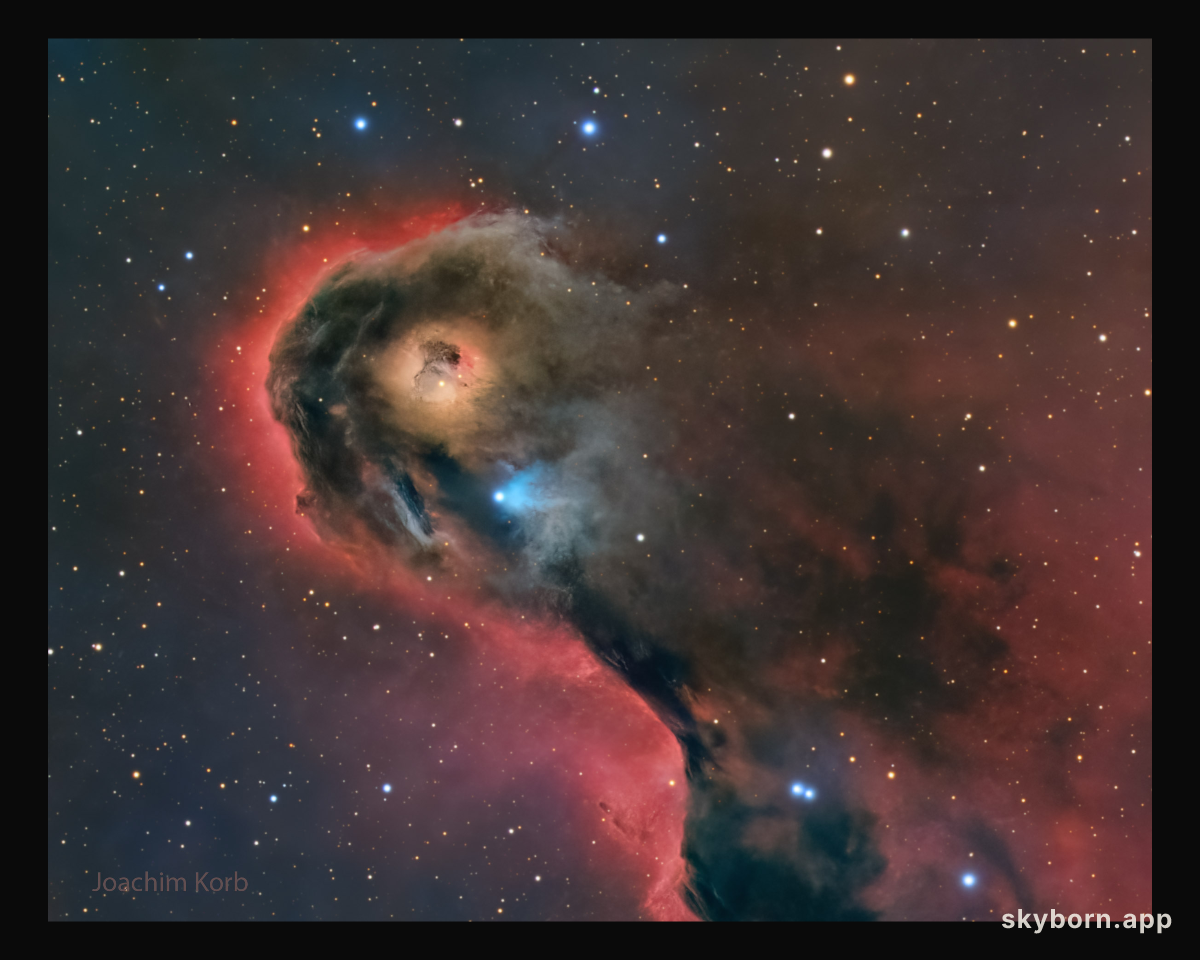 An Unusual Globule in IC 1396