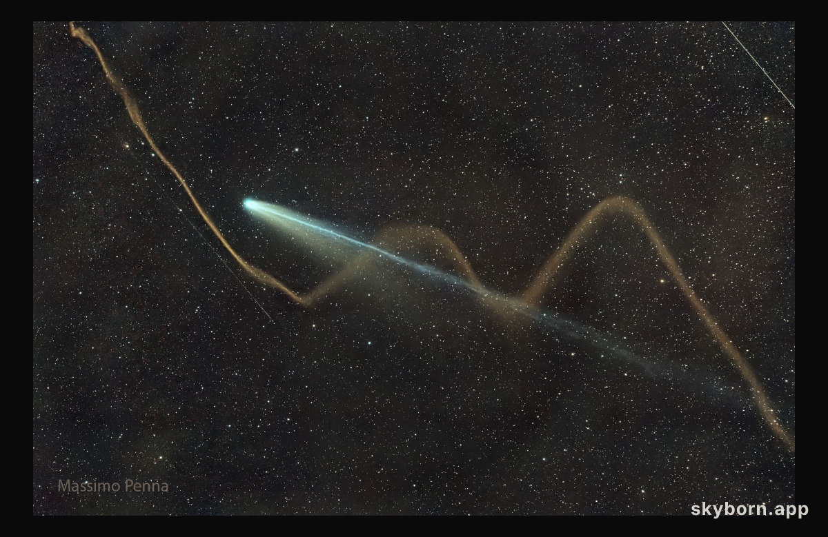Two Tails of Comet Lemmon