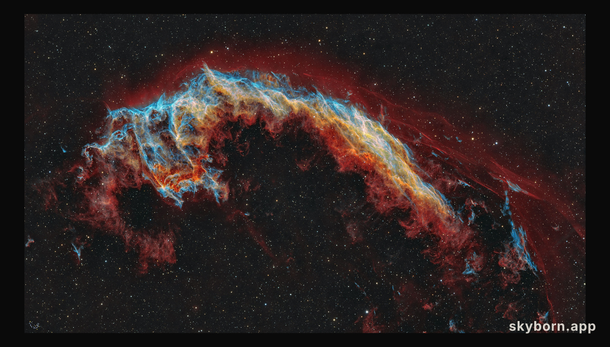 NGC 6995: The Bat Nebula