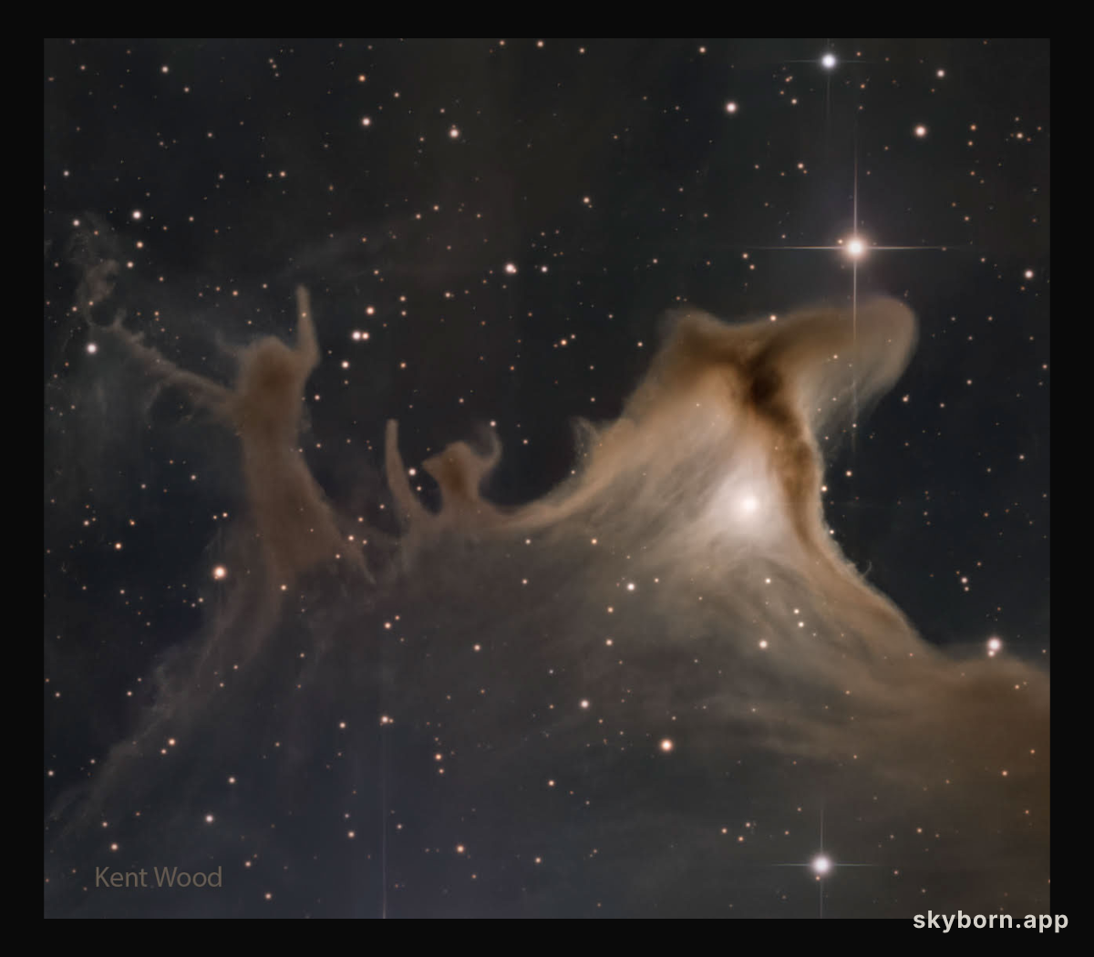 Dust Shapes of the Ghost Nebula