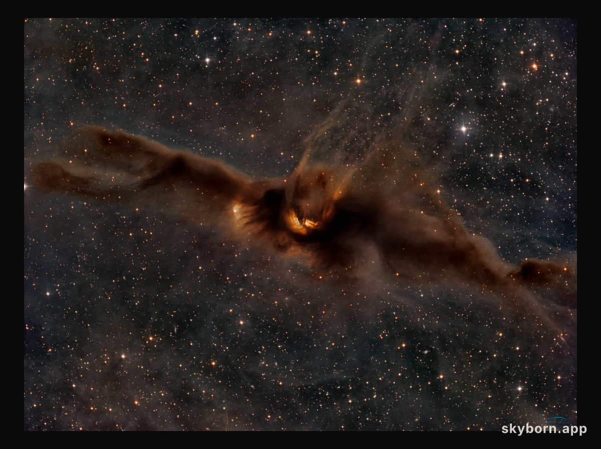 Lynds Dark Nebula 43